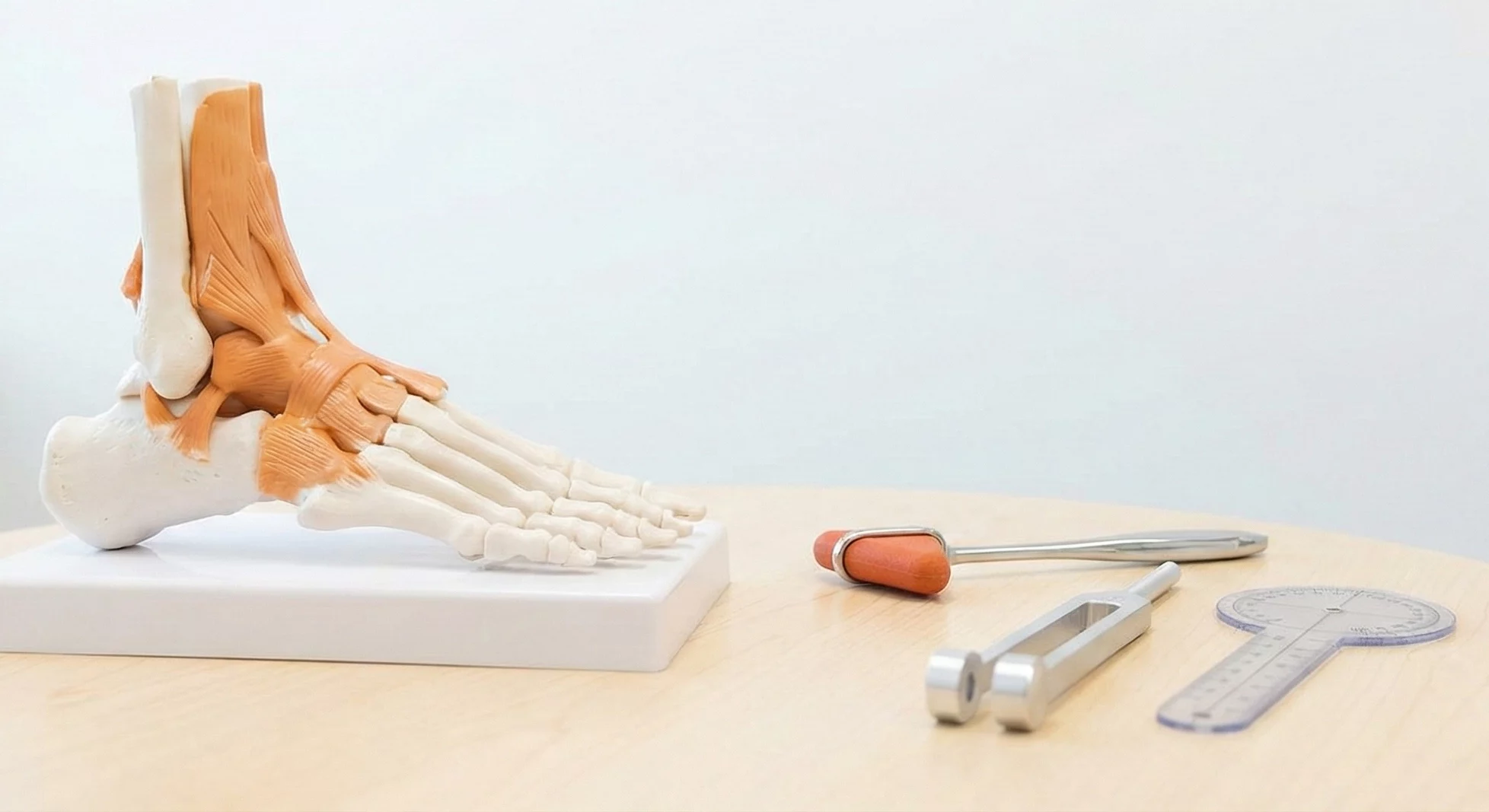 Outils de Diagnostic et Modèle Anatomique